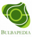 Bulbapedia 